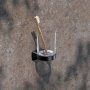 Keuco Aveno Tumbler Holder with Crystal Glass - Matt Black