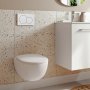 Geberit Alpha01 Round Dual Flush Plate - White