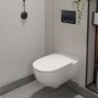 Geberit Alpha01 Round Dual Flush Plate - Black Chrome