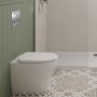 Geberit Back-to-Wall 4-in-1 Cistern, Flush Plate, Selnova Rimless Pan & Soft Close Seat Combi-Pack