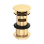 Perrin & Rowe Large Slotted Push Basin Waste - Satin Brass