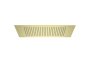 Roca Raindream 380 x 380mm Ceiling-Mounted Shower Head with Rain Function - Brushed Brass