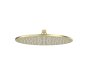 Roca Raindream 300 x 300mm Extraslim Round Rain Shower Head - Brushed Brass