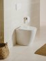 Roca Ona Back-to-Wall Rimless Toilet - Matt White