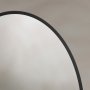 Origins Living Delphine 550 x 800mm Oval Mirror - Black