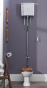 Silverdale Balasani High Level WC Suite